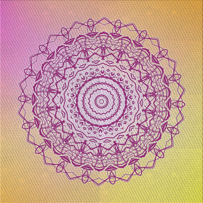 Sideview of Machine Washable Transitional Tulip Pink Rug, wshpat1976