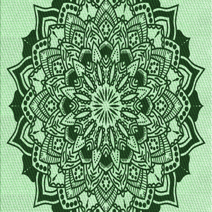 Machine Washable Transitional Pale Green Rug, wshpat1978grn