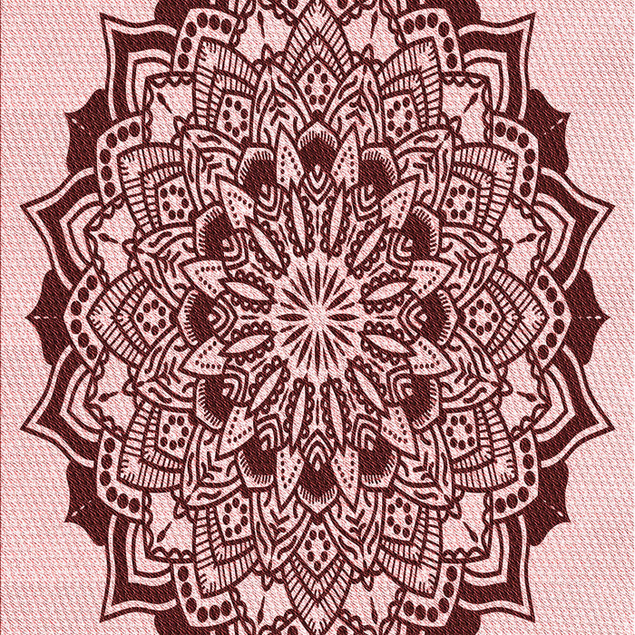 Machine Washable Transitional Brown Red Rug, wshpat1978rd