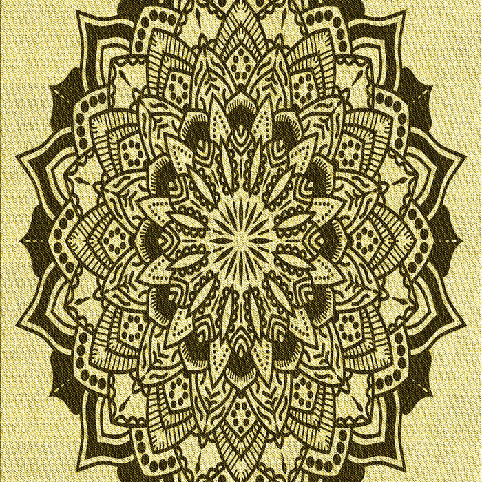 Machine Washable Transitional Dark Bronze Brown Rug, wshpat1978yw