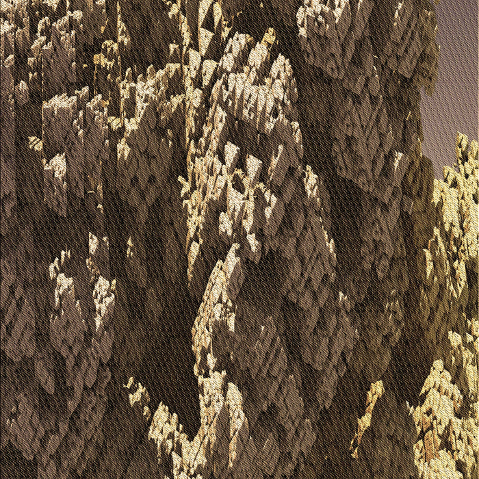 Machine Washable Transitional Night Red Rug, wshpat1990brn