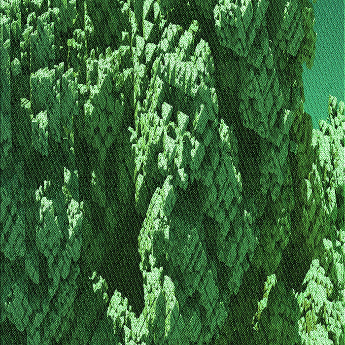 Machine Washable Transitional Deep Emerald Green Rug, wshpat1990grn