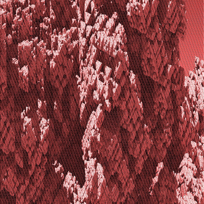 Patterned Red Rug, pat1990rd