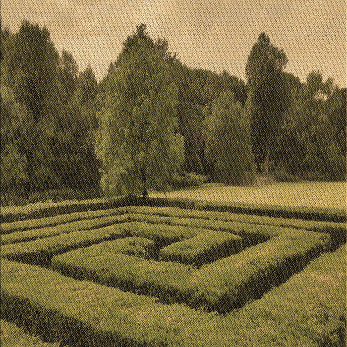 Patterned Orange Gold Rug, pat1999brn