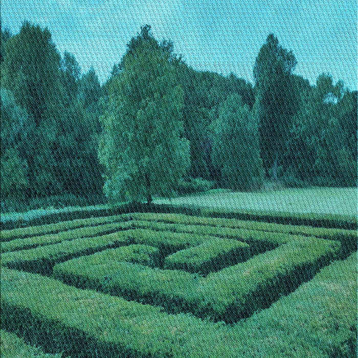 Patterned Dark Turquoise Green Rug, pat1999lblu