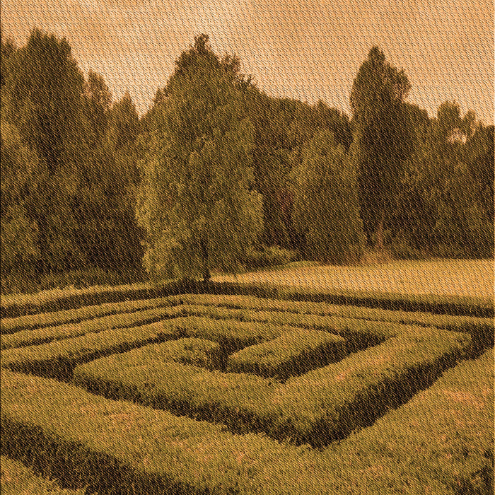 Patterned Orange Rug, pat1999org