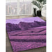 Machine Washable Transitional Purple Rug in a Family Room, wshpat1999pur