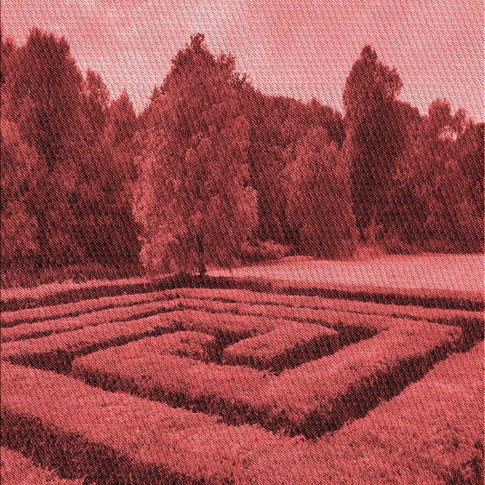 Patterned Red Rug, pat1999rd