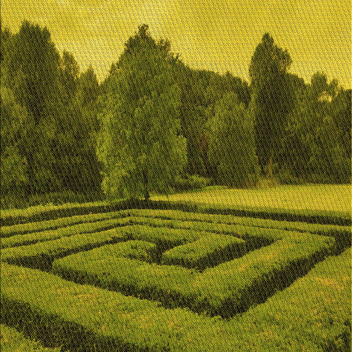 Machine Washable Transitional Army Green Rug, wshpat1999yw