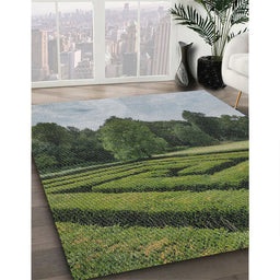 Patterned Dark Forest Green Novelty Rug in Family Room, pat1999