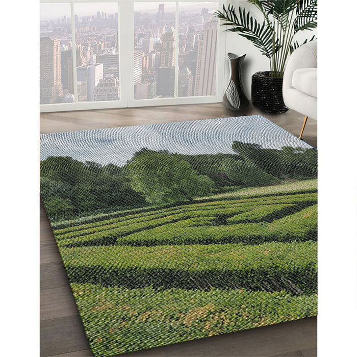 Patterned Dark Forest Green Novelty Rug in Family Room, pat1999