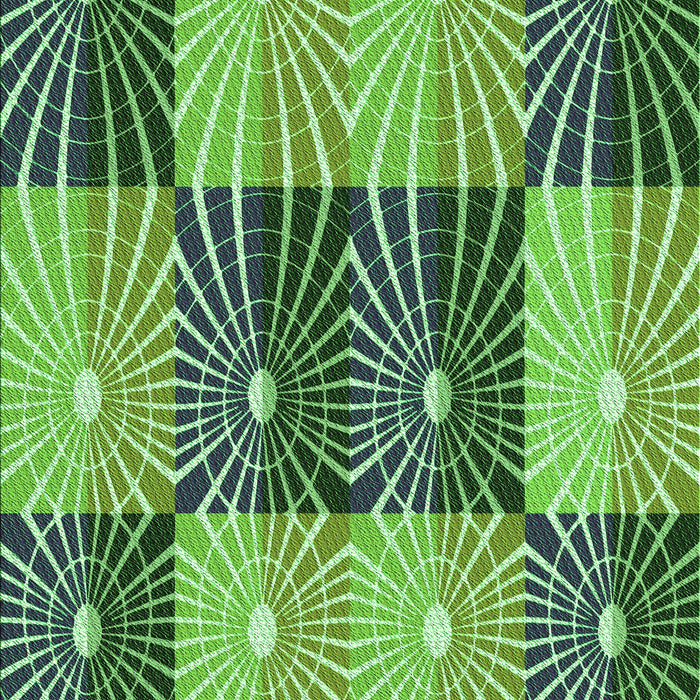 Machine Washable Transitional Green Rug, wshpat20grn