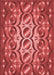 Machine Washable Transitional Red Rug, wshpat2007rd