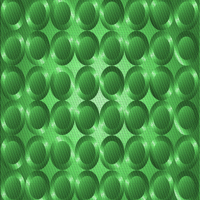 Machine Washable Transitional Green Rug, wshpat2008grn