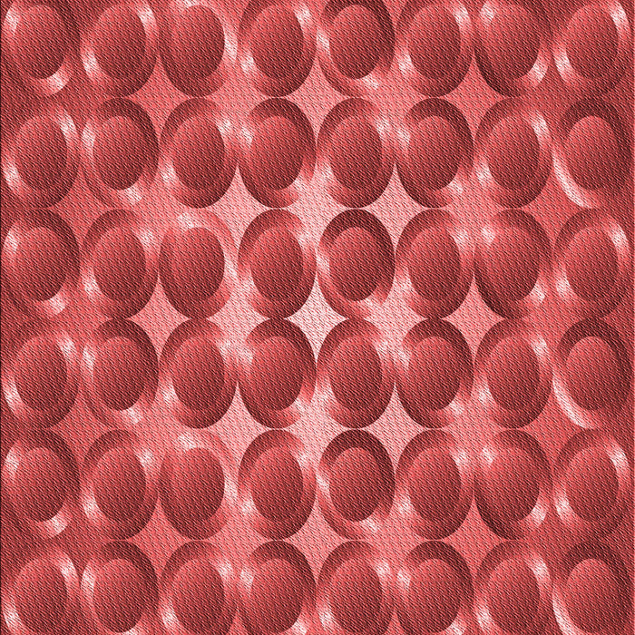 Machine Washable Transitional Red Rug, wshpat2008rd