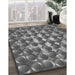 Patterned Dark Gray Novelty Rug in Family Room, pat2008