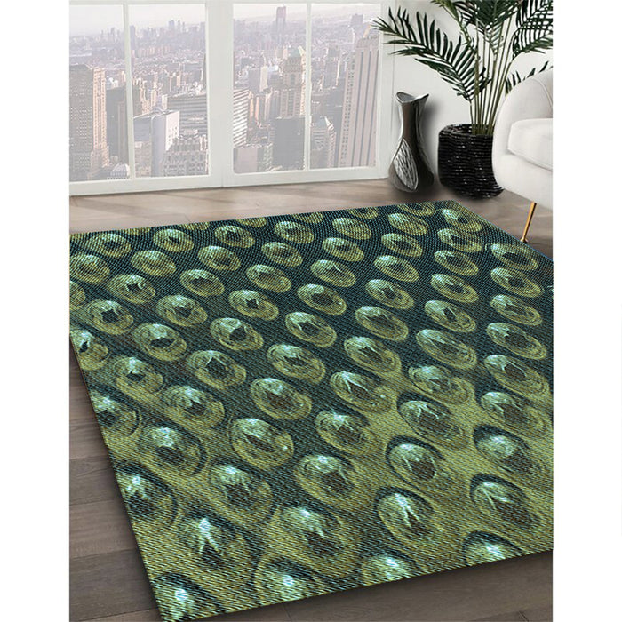 Patterned Dark Forest Green Rug in Family Room, pat2010lblu
