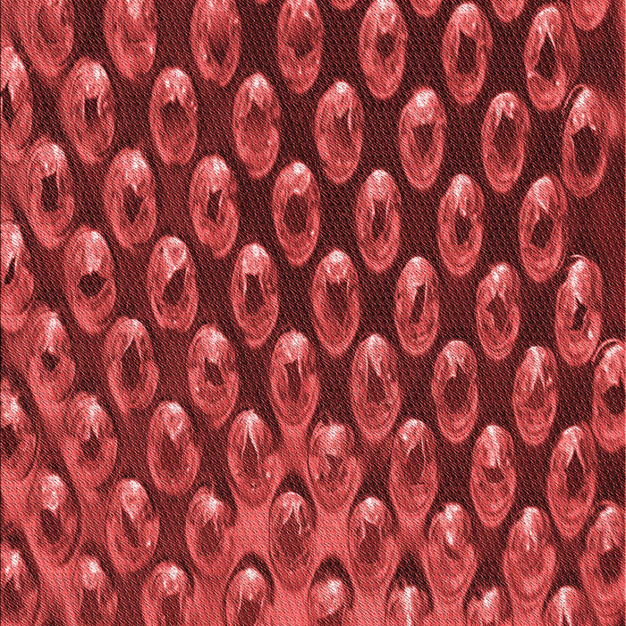 Patterned Tomato Red Rug, pat2010rd