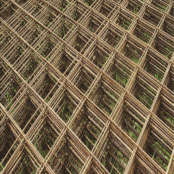 Patterned Red Rug, pat2011brn