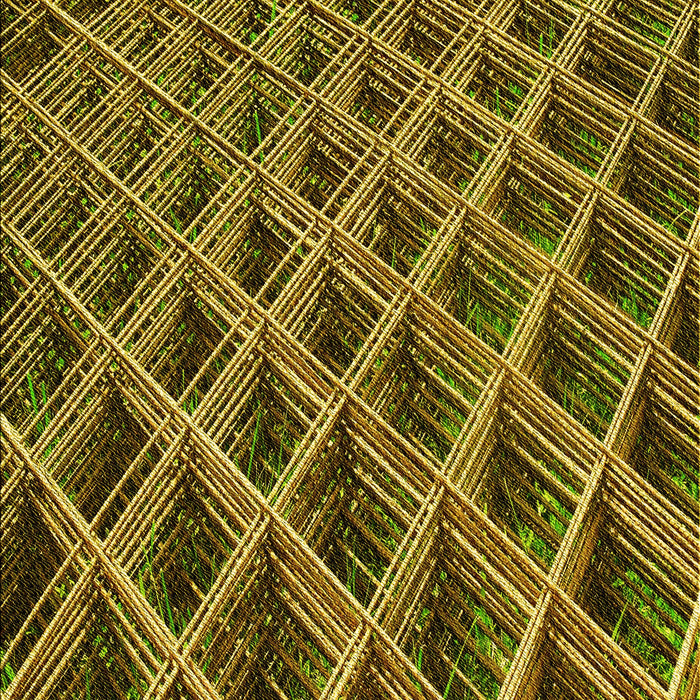 Patterned Red Rug, pat2011yw