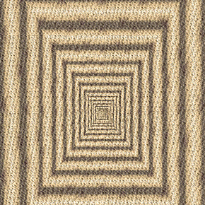 Machine Washable Transitional Brown Rug, wshpat2012brn