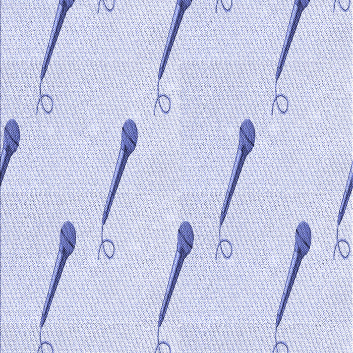 Machine Washable Transitional Lavender Blue Rug, wshpat2015blu