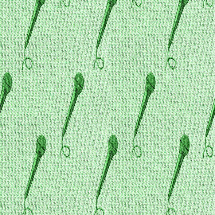 Machine Washable Transitional Mint Green Rug, wshpat2015grn