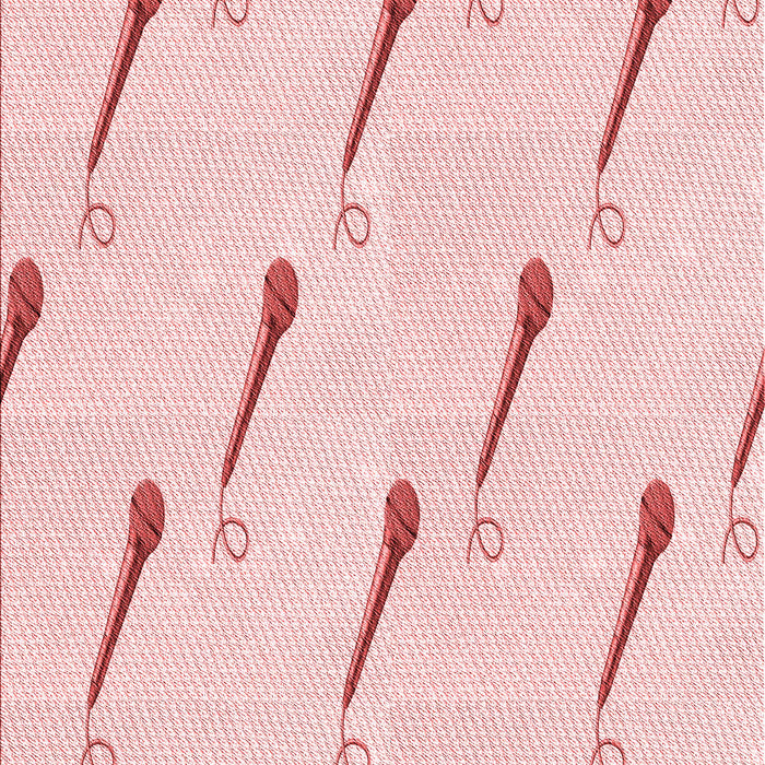 Patterned Pastel Red Pink Rug, pat2015rd