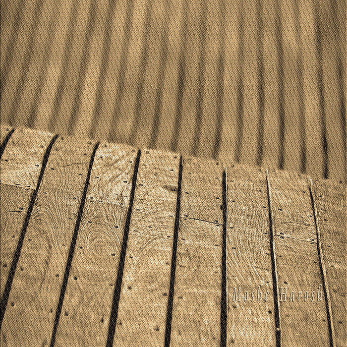 Machine Washable Transitional Oak Brown Rug, wshpat2016brn