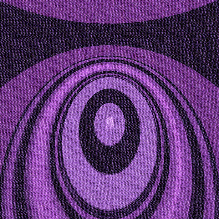 Machine Washable Transitional Purple Rug, wshpat2021pur