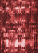 Patterned Red Rug, pat2024rd