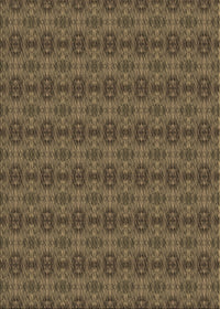 Machine Washable Transitional Dark Gold Brown Rug, wshpat2029brn