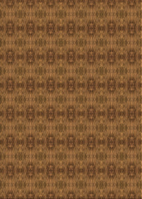 Machine Washable Transitional Dark Bronze Brown Rug, wshpat2029org