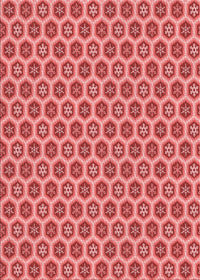 Machine Washable Transitional Red Rug, wshpat203rd