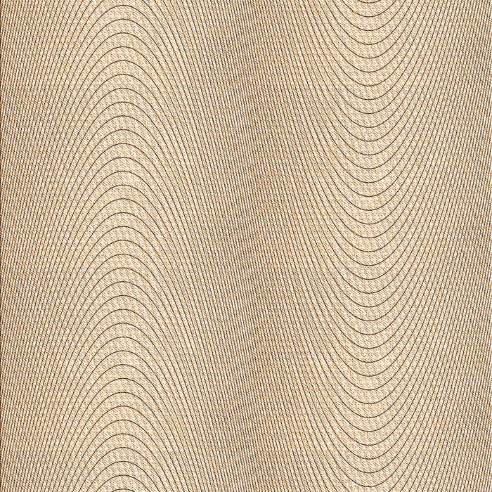 Machine Washable Transitional Bronze Brown Rug, wshpat2036org