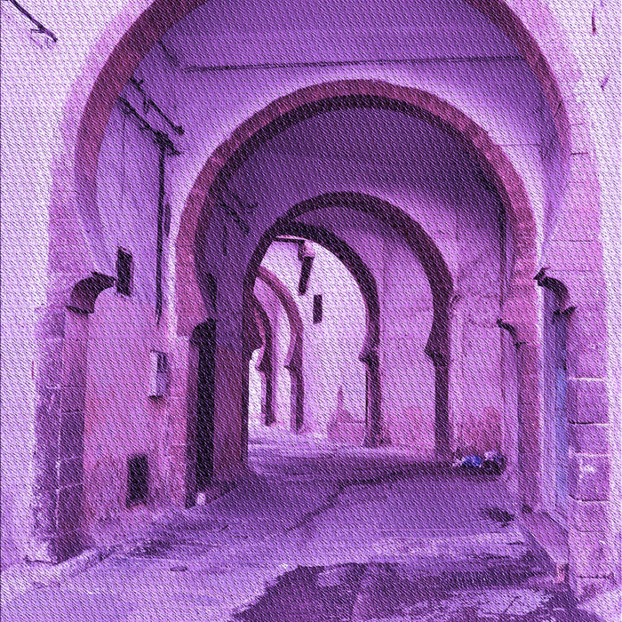 Patterned Violet Purple Rug, pat2043pur