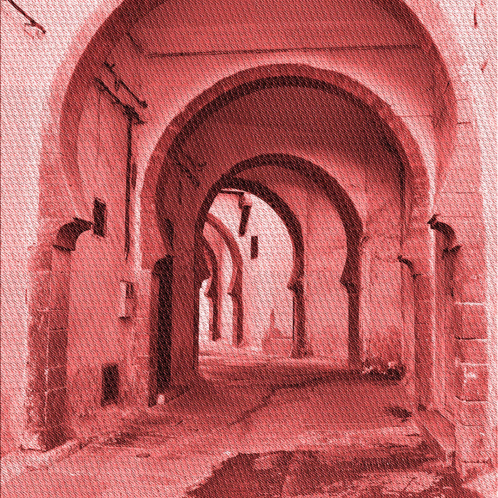 Patterned Red Rug, pat2043rd