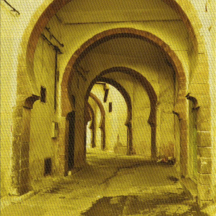 Machine Washable Transitional Dark Bronze Brown Rug, wshpat2043yw