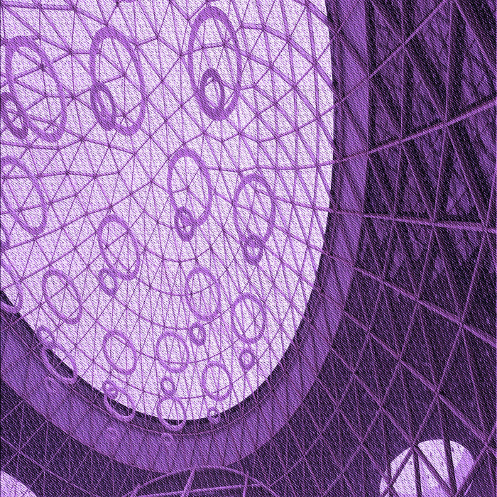 Patterned Violet Purple Rug, pat2046pur