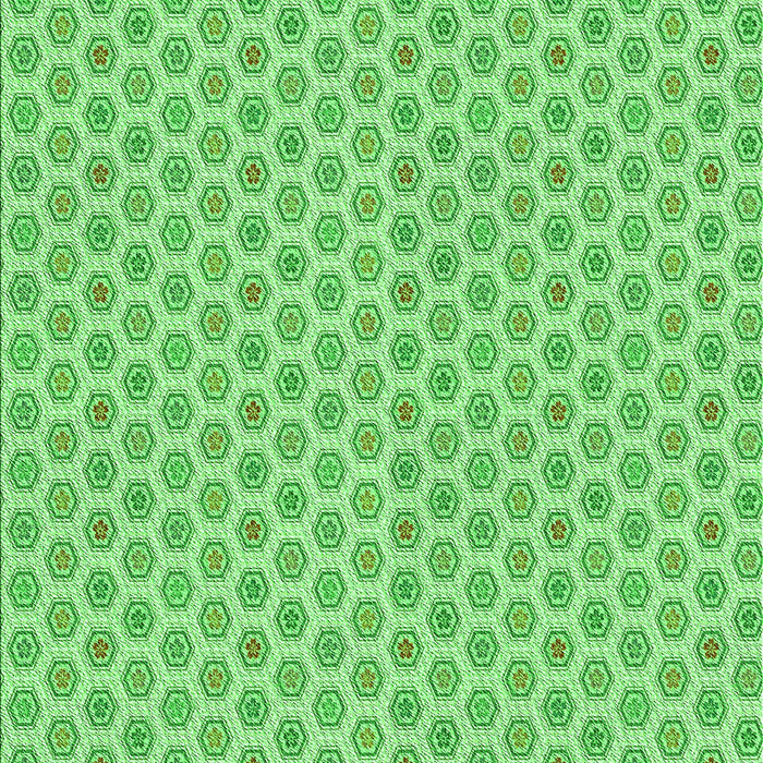 Machine Washable Transitional Jade Green Rug, wshpat205grn