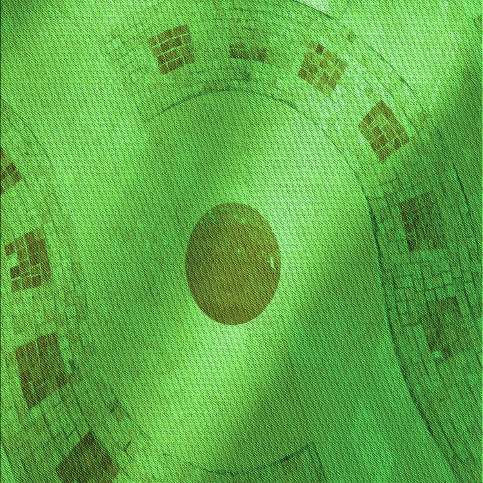 Patterned Neon Green Rug, pat2052grn