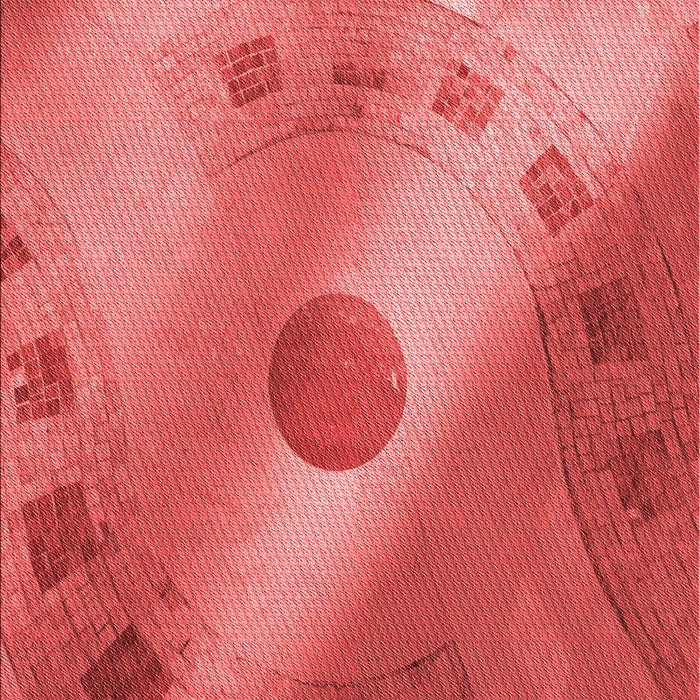 Patterned Red Rug, pat2052rd