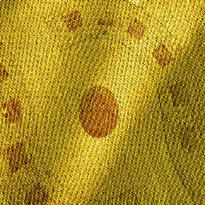 Machine Washable Transitional Dark Bisque Brown Rug, wshpat2052yw