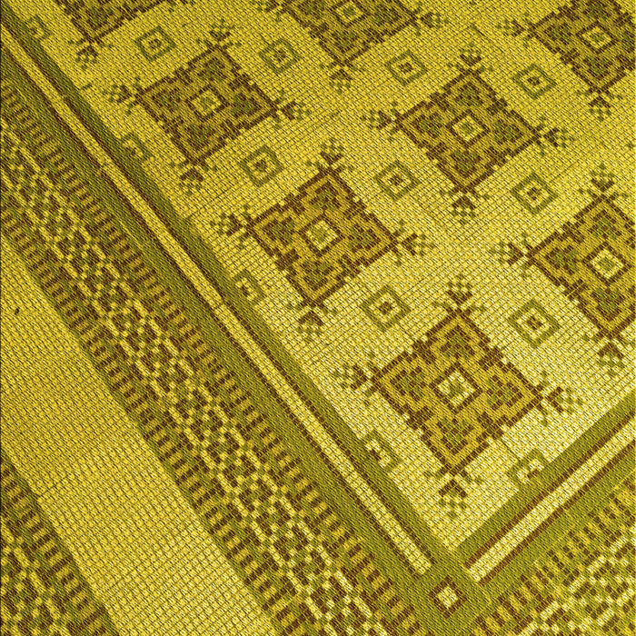 Machine Washable Transitional Dark Yellow Green Rug, wshpat2053yw