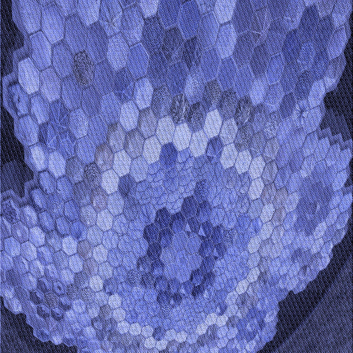Patterned Sky Blue Rug, pat2055blu