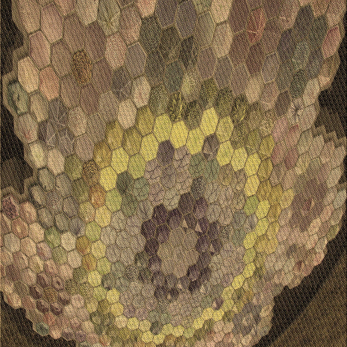 Patterned Cinnamon Brown Rug, pat2055brn