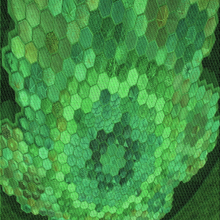 Machine Washable Transitional Green Rug, wshpat2055grn