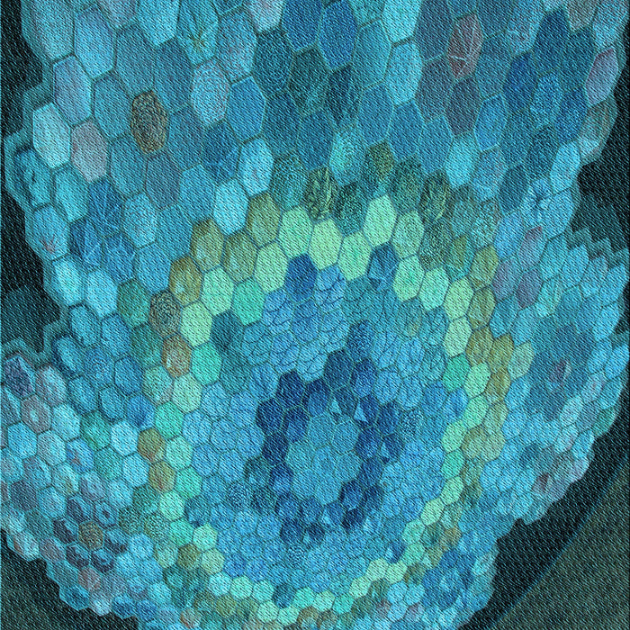 Patterned Dark Turquoise Green Rug, pat2055lblu