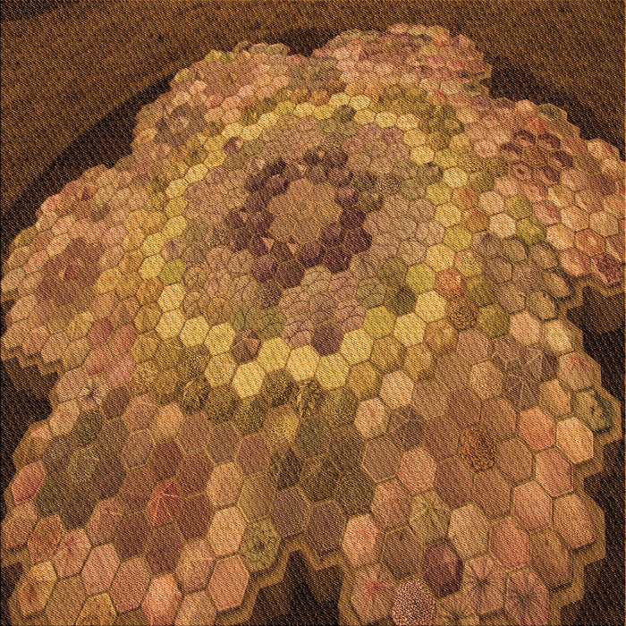 Round Machine Washable Transitional Saddle Brown Rug, wshpat2055org