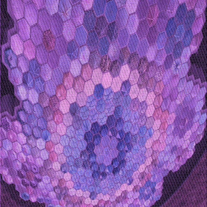 Patterned Purple Rug, pat2055pur
